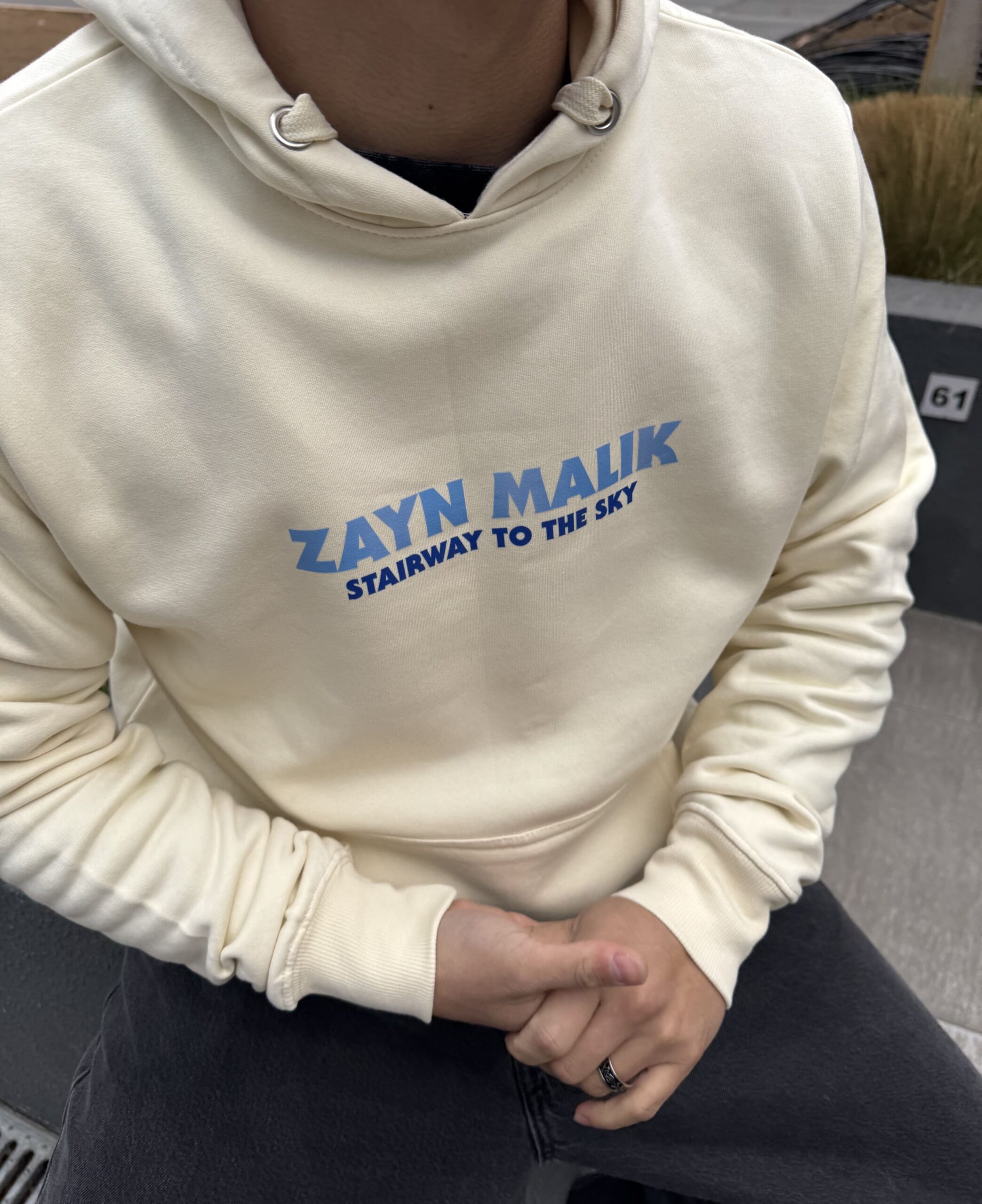 Poleron Stairway to the Sky Zayn Malik Beige - Imagen 2