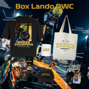 Box Lando Norris DWC 2025