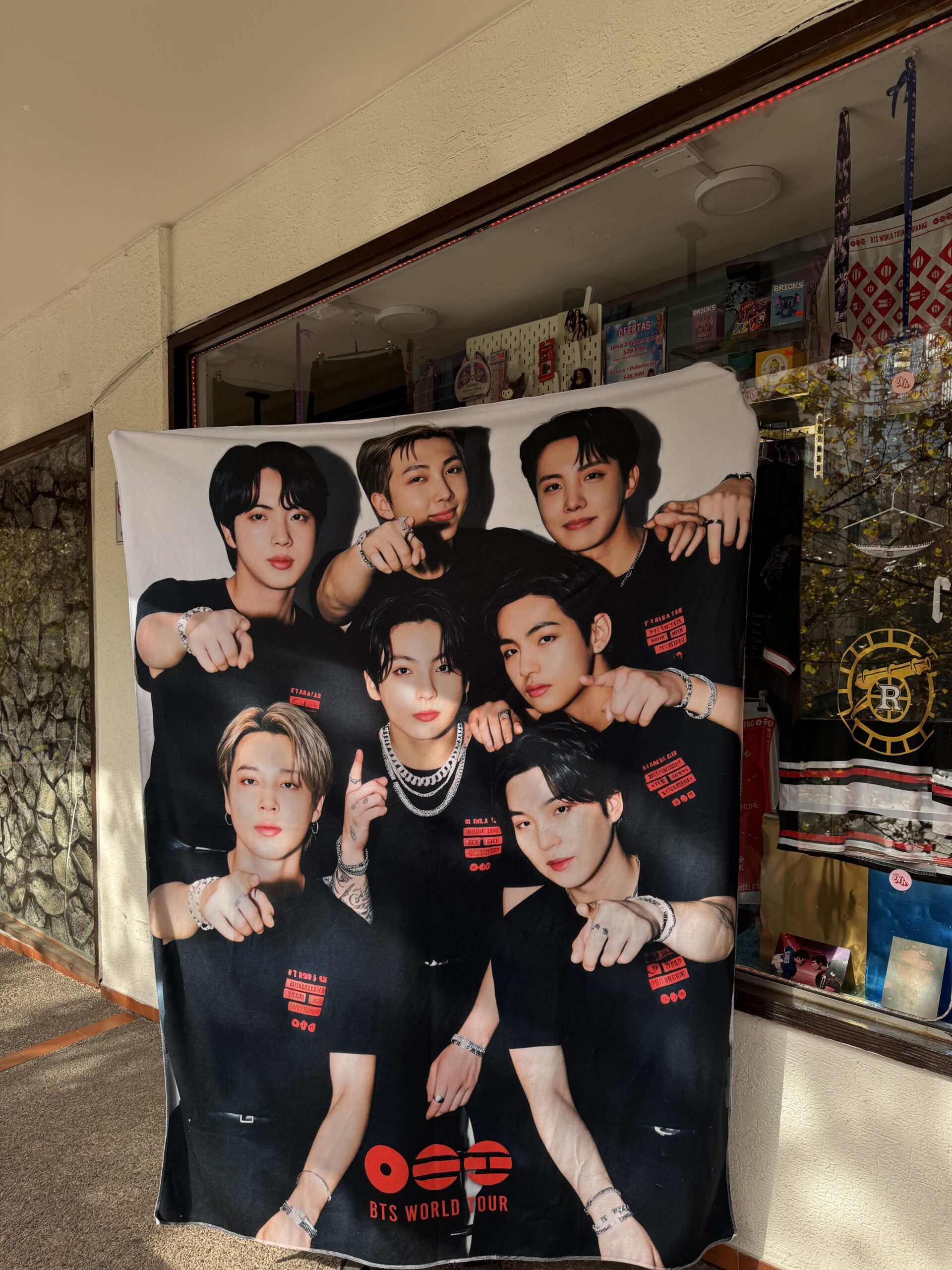 Manta corderito suave BTS Arirang